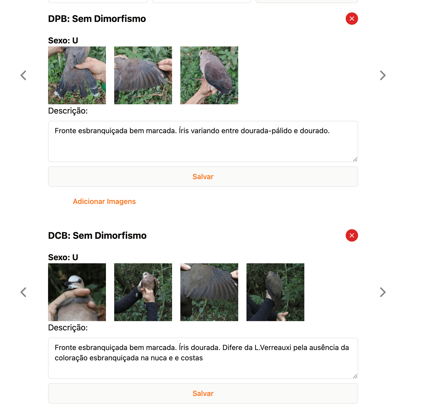 /projects/ilicura1.png