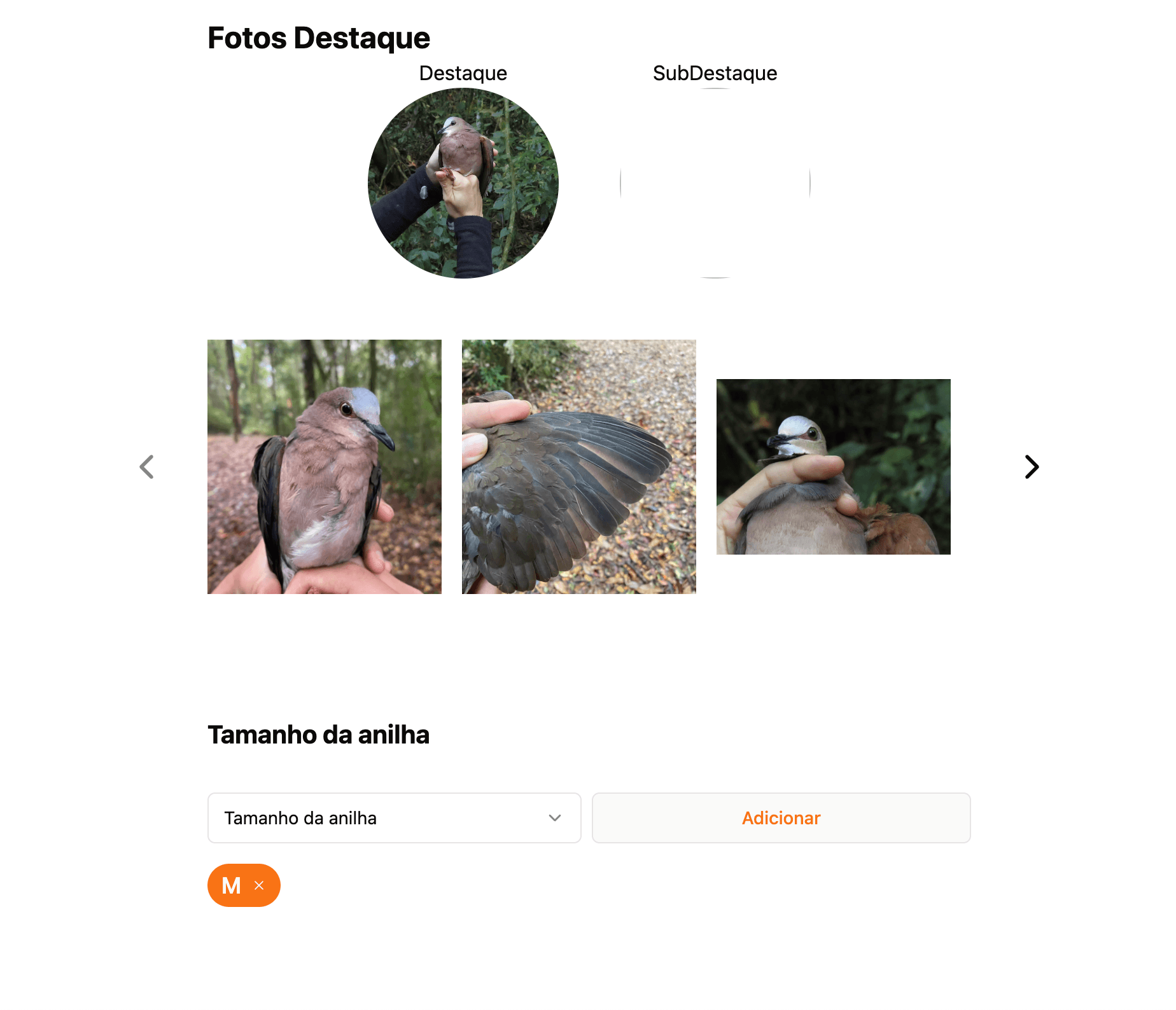 /projects/ilicura2.png