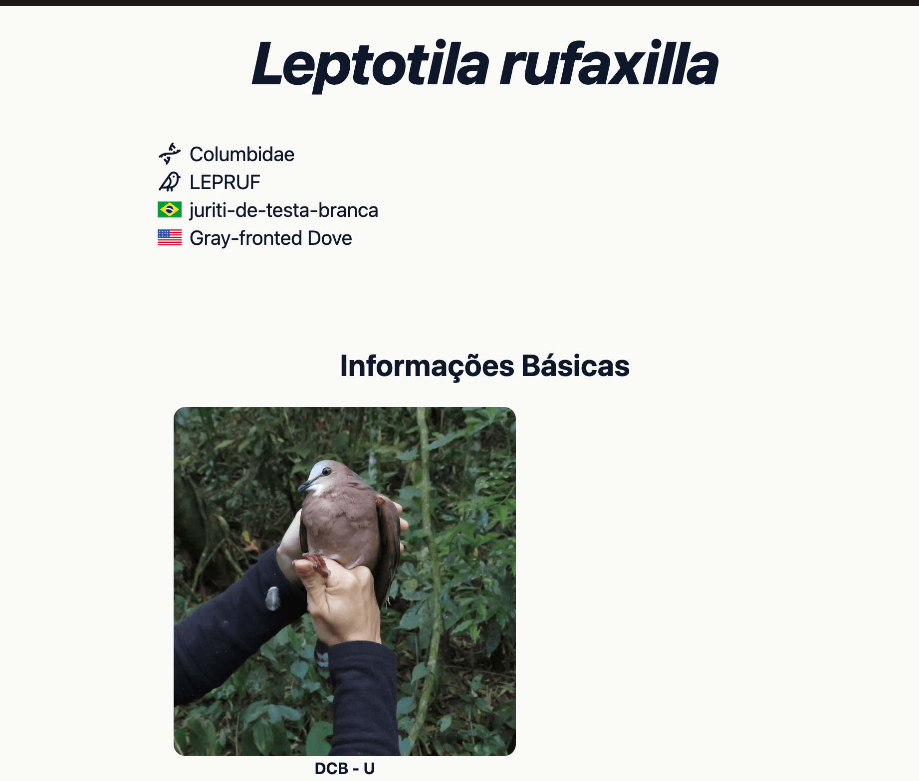 /projects/ilicura4.png