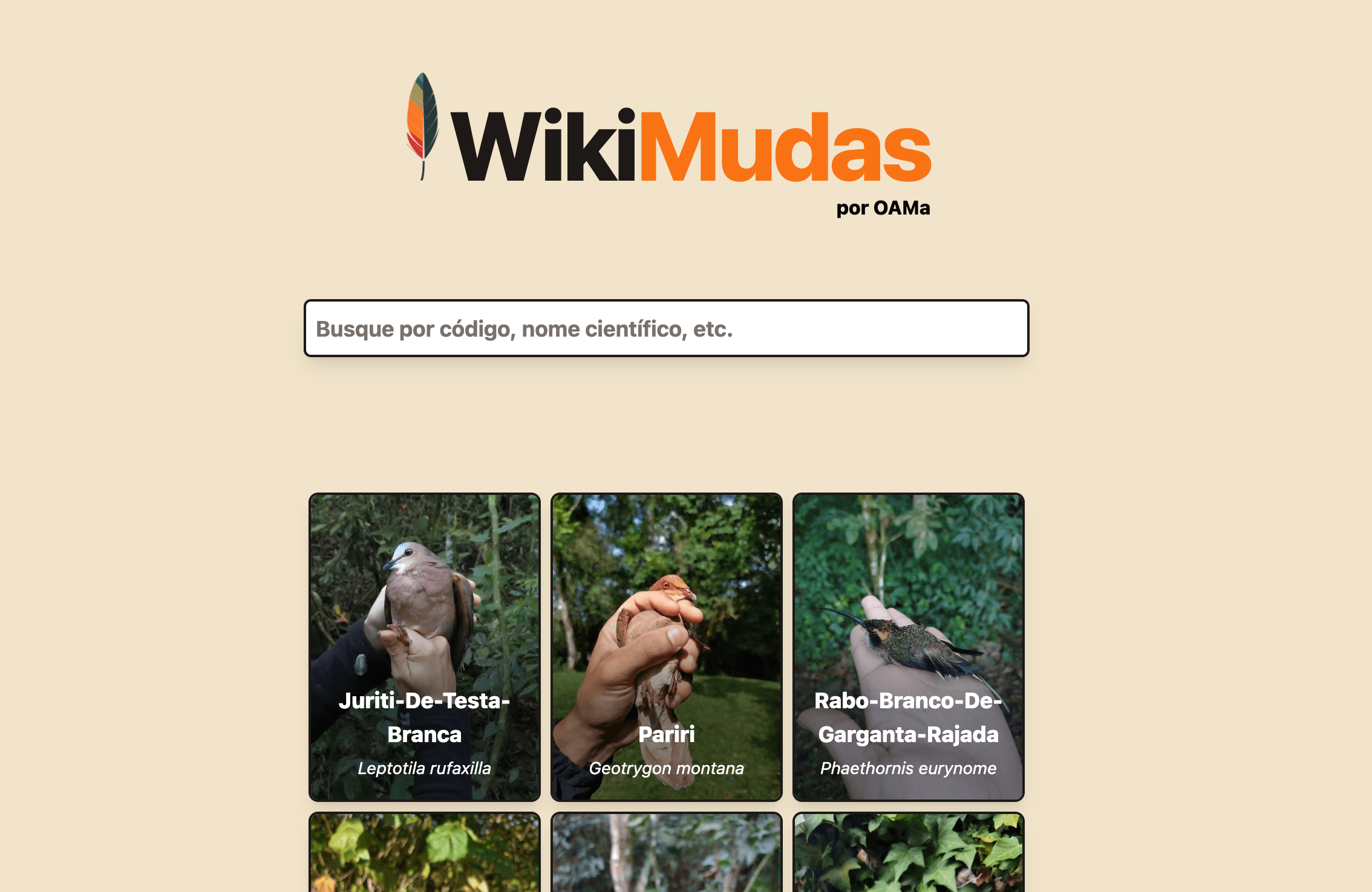 /projects/ilicura5.png